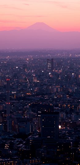 [2436x1125]城市 夜晚 城市 高楼 苹果手机壁纸图片