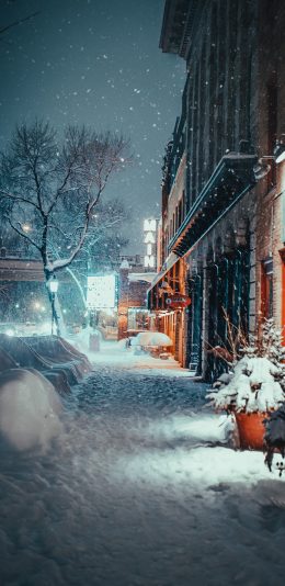 [2436x1125]城市 夜景 冬季 白雪覆盖 雪景 苹果手机壁纸图片