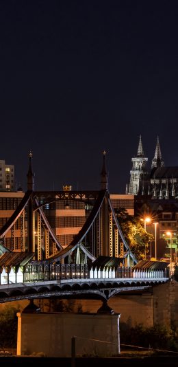 [2436x1125]城市 夜景 桥 塔 建设 教会 灯 苹果手机壁纸图片