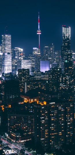 [2436x1125]城市 夜景 灯光 繁华 都市 苹果手机壁纸图片