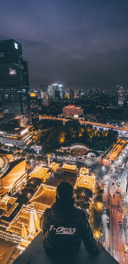 [2436x1125]城市 夜景 灯光 背影 苹果手机壁纸图片