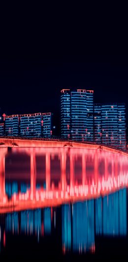[2436x1125]城市 夜景 高楼建筑 倒影 苹果手机壁纸图片