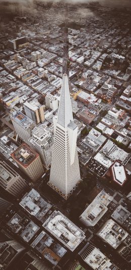 [2436x1125]城市 建筑 俯拍 航拍 苹果手机壁纸图片