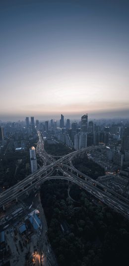 [2436x1125]城市 建筑 桥梁 都市 苹果手机壁纸图片