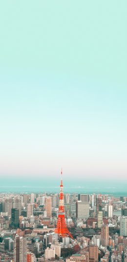 [2436x1125]城市 建筑 都市 塔 苹果手机壁纸图片