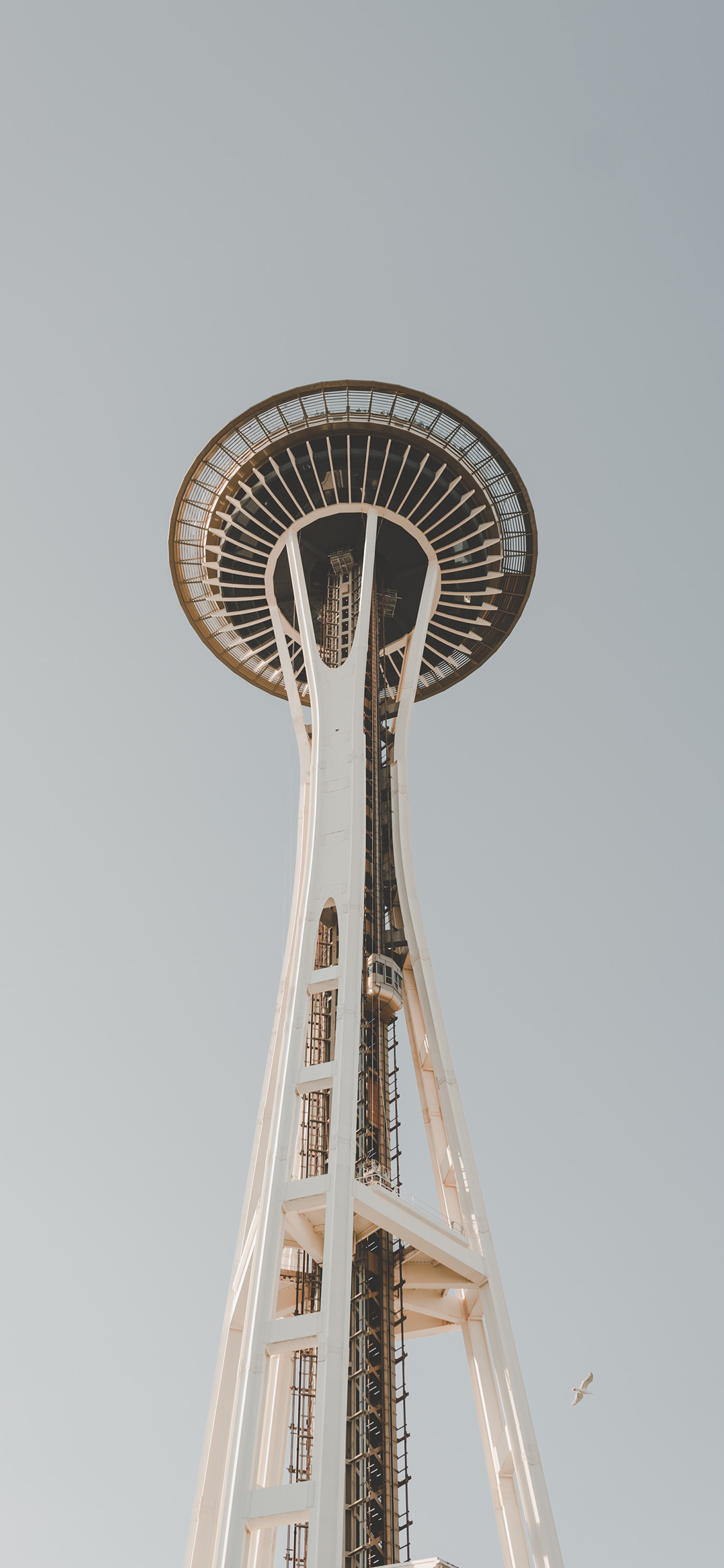 [2436×1125]城市 建筑 高楼 圆塔 苹果手机壁纸图片