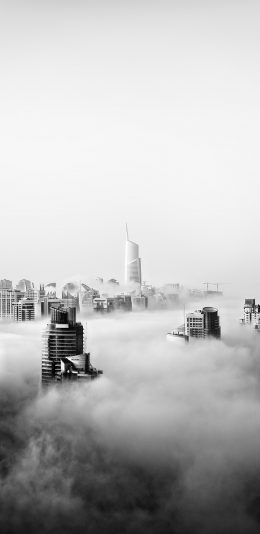 [2436x1125]城市 建筑 黑白 云端 高楼大厦 苹果手机壁纸图片