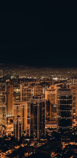 [2436x1125]城市 灯光 璀璨 夜晚 苹果手机壁纸图片