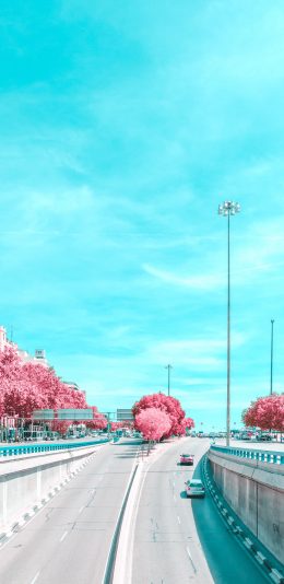 [2436x1125]城市 蓝天 树木 车道 苹果手机壁纸图片