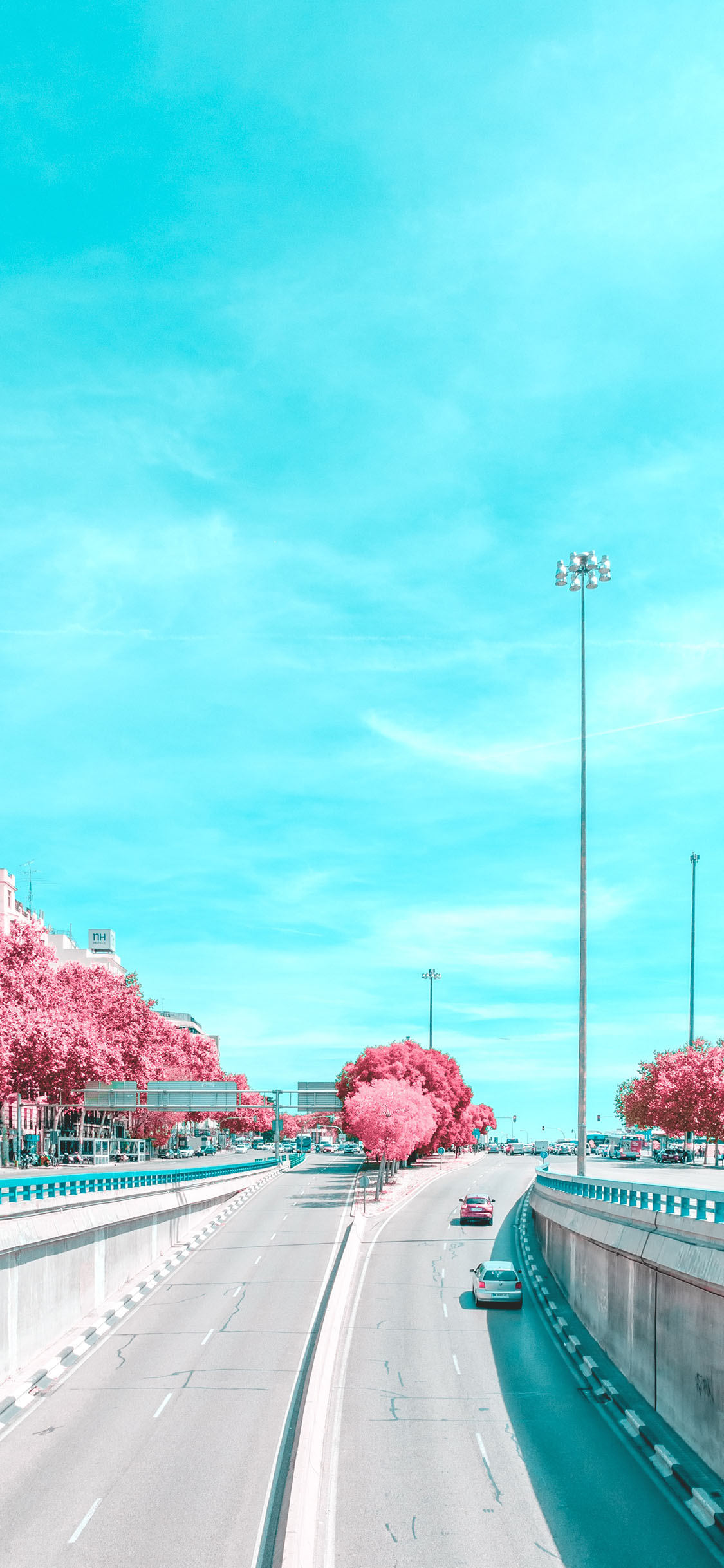 [2436×1125]城市 蓝天 树木 车道 苹果手机壁纸图片