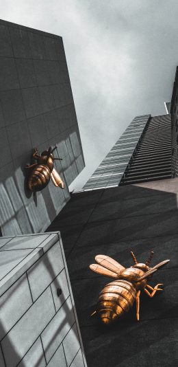 [2436x1125]城市 高楼建筑 蜜蜂 装饰 苹果手机壁纸图片