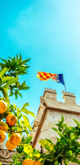 [2436x1125]堡垒 旗帜 树木 橘子 果子 苹果手机壁纸图片