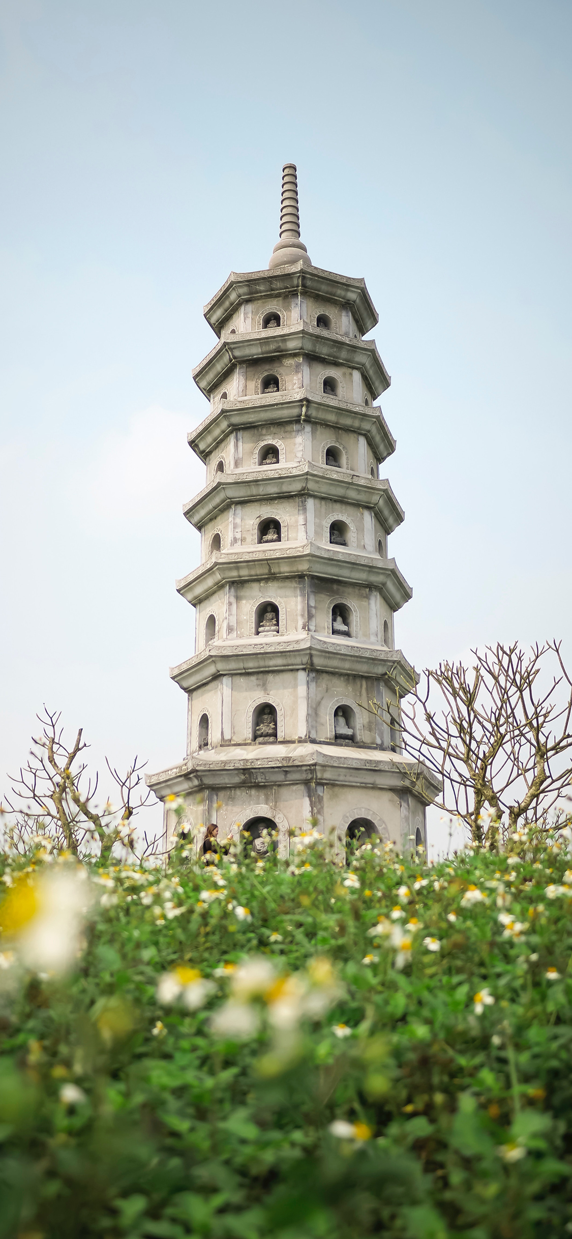 [2436×1125]塔楼 景色 户外 建筑 苹果手机壁纸图片