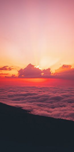[2436x1125]夕阳 云海 高空 云彩 苹果手机壁纸图片