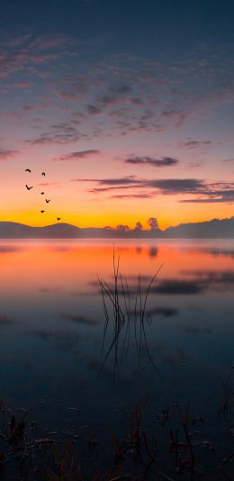 [2436x1125]夕阳 倒映 落日 天空 苹果手机壁纸图片