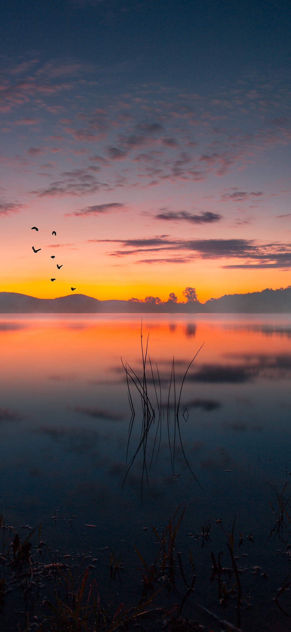 [2436×1125]夕阳 倒映 落日 天空 苹果手机壁纸图片