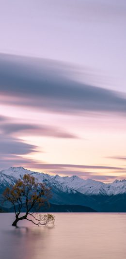[2436x1125]夕阳 彩霞 雪顶 宁静 苹果手机壁纸图片