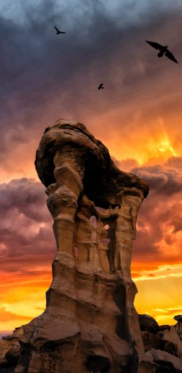 [2436x1125]夕阳 晚霞 岩石 飞鸟 苹果手机壁纸图片