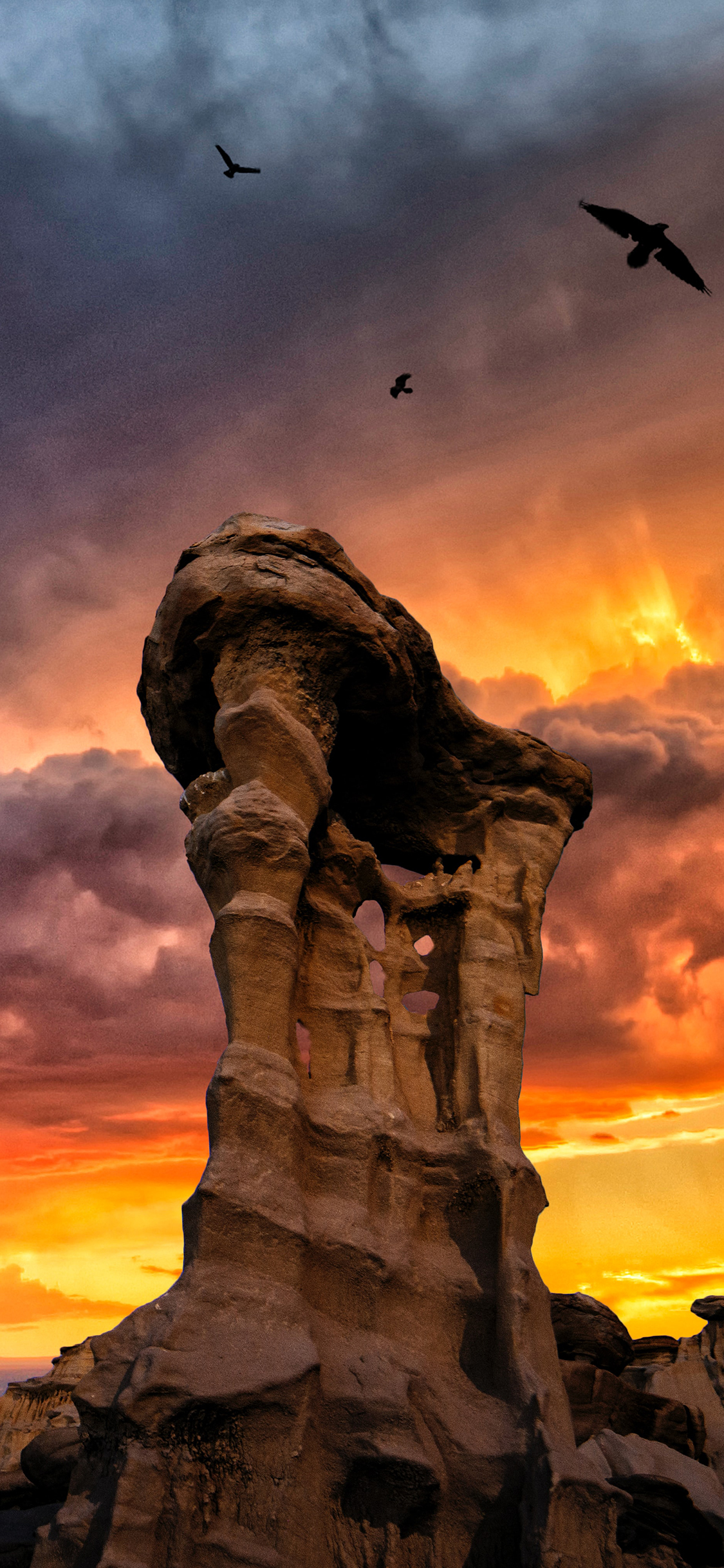 [2436×1125]夕阳 晚霞 岩石 飞鸟 苹果手机壁纸图片