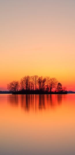 [2436x1125]夕阳 树木 湖泊 红霞 美景 苹果手机壁纸图片