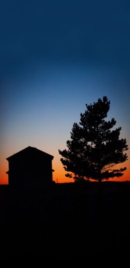 [2436x1125]夕阳 美景 房子 树木 逆光 苹果手机壁纸图片