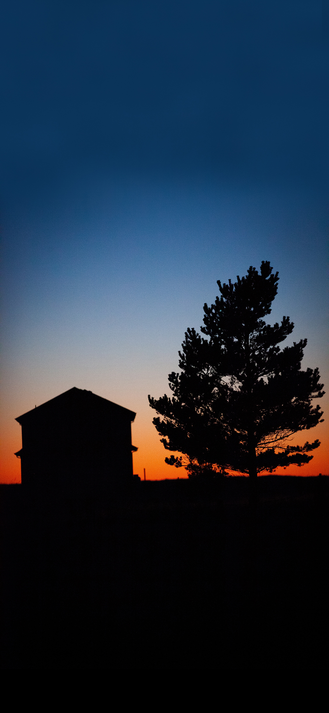 [2436×1125]夕阳 美景 房子 树木 逆光 苹果手机壁纸图片