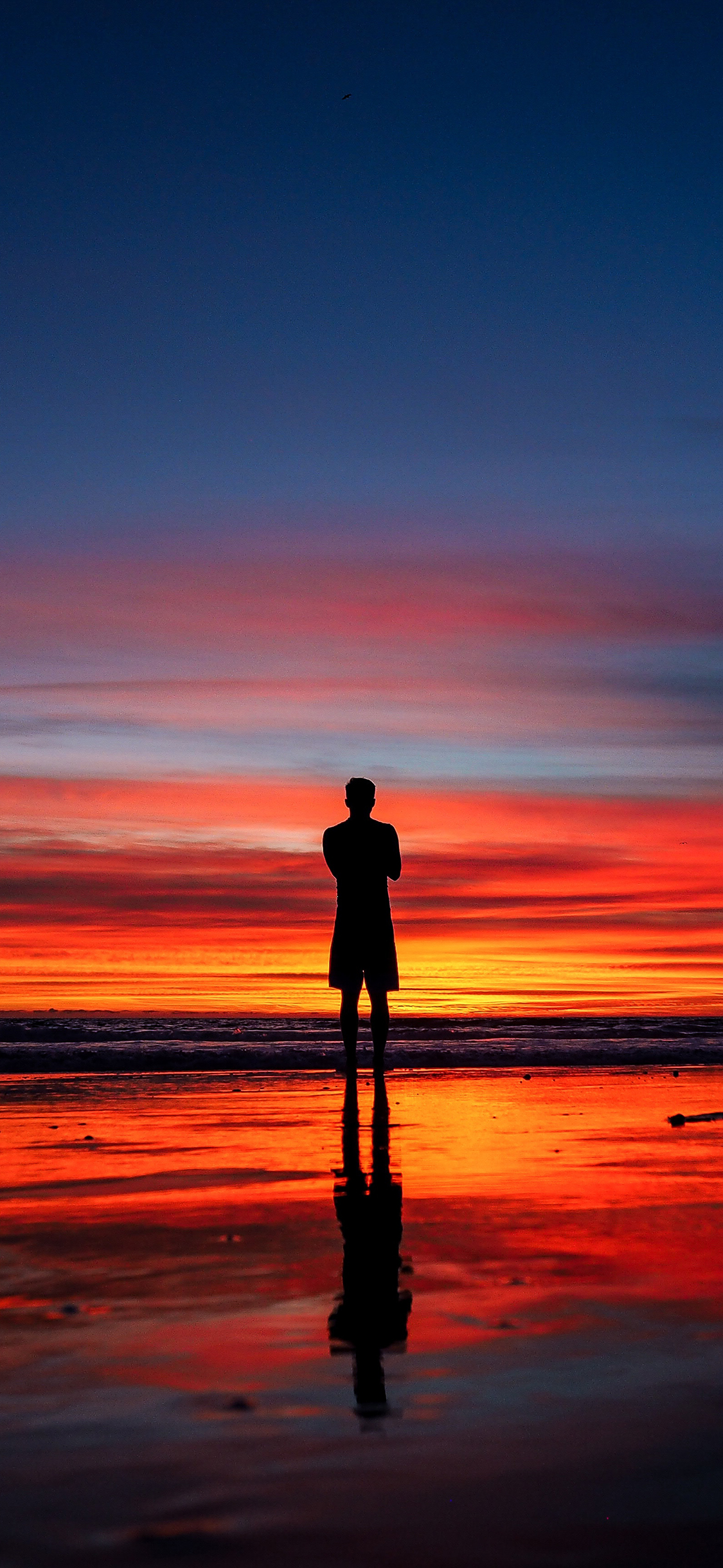 [2436×1125]夕阳 美景 红云 背影 唯美 苹果手机壁纸图片
