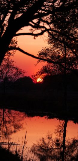 [2436x1125]夕阳 落日 黄昏 河岸 苹果手机壁纸图片