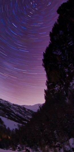 [2436x1125]夜晚 天象 光圈 树木 苹果手机壁纸图片