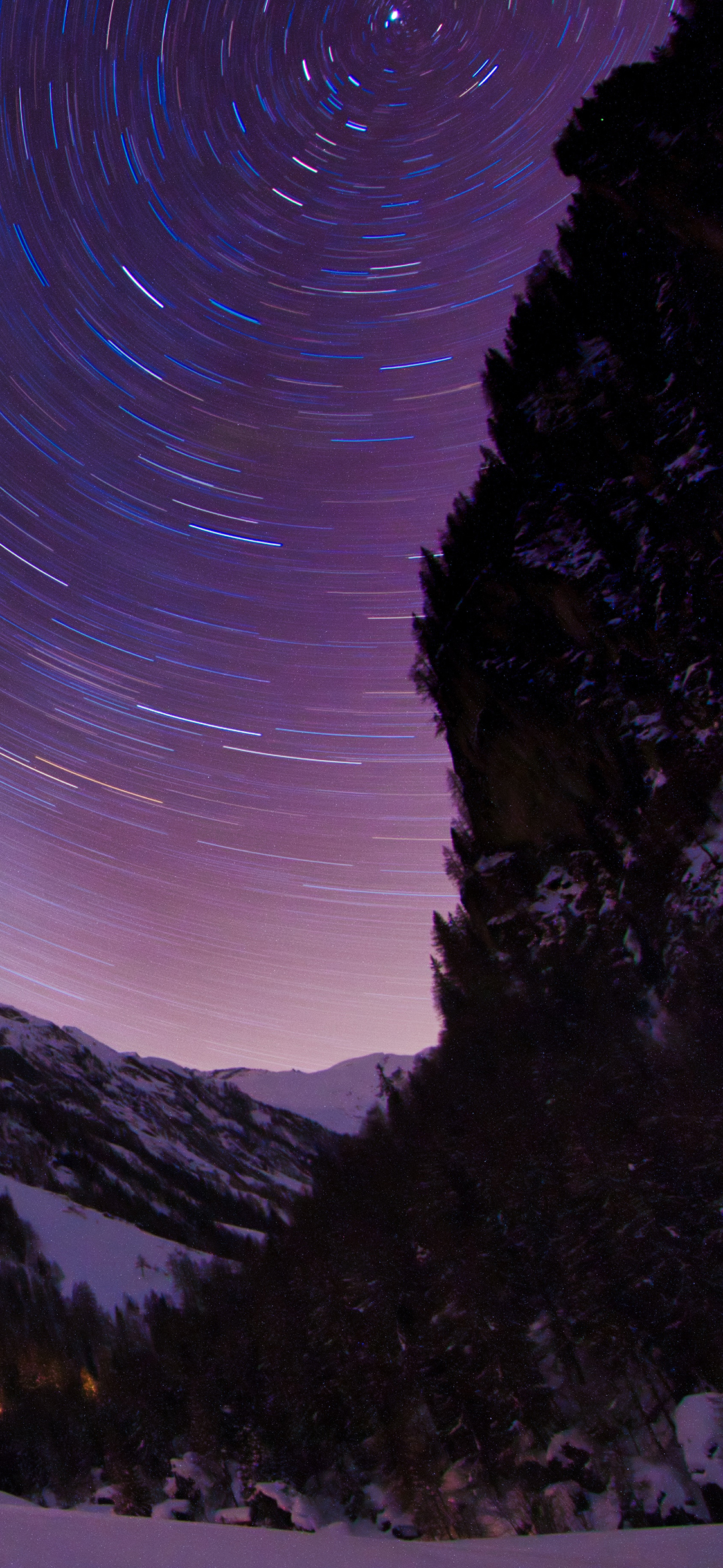 [2436×1125]夜晚 天象 光圈 树木 苹果手机壁纸图片
