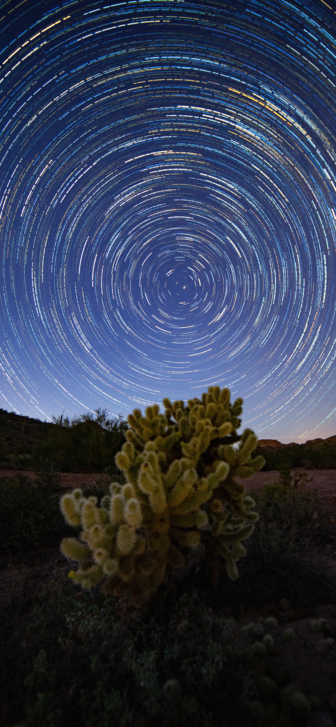 [2436×1125]夜晚 星空 星轨 光圈 植物 苹果手机壁纸图片
