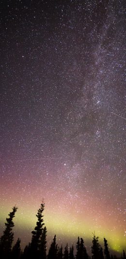 [2436x1125]夜晚 星空 极光 树木 美景 苹果手机壁纸图片