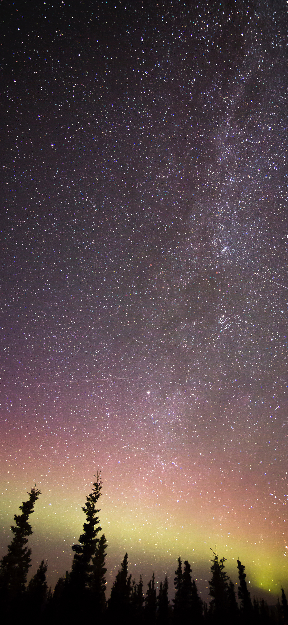 [2436×1125]夜晚 星空 极光 树木 美景 苹果手机壁纸图片
