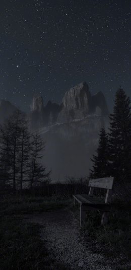 [2436x1125]夜晚 星空 树木 黑暗 苹果手机壁纸图片