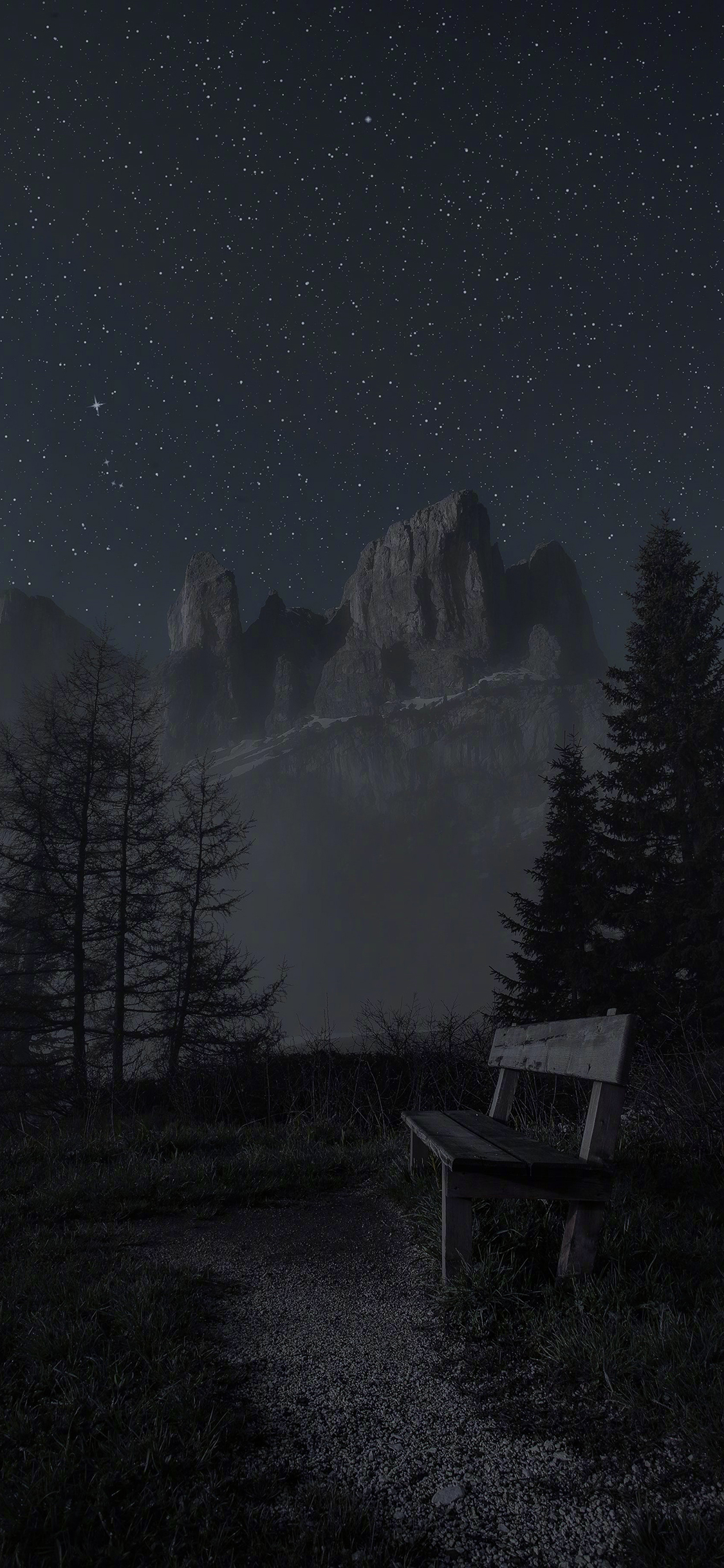 [2436×1125]夜晚 星空 树木 黑暗 苹果手机壁纸图片