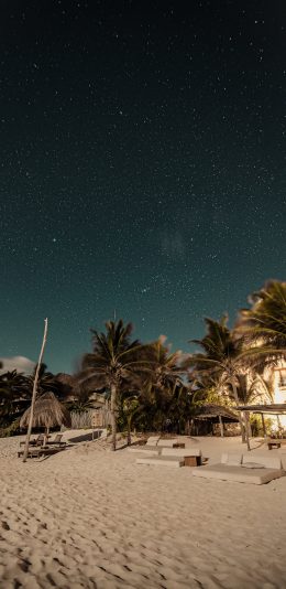 [2436x1125]夜晚 星空 海滩 椰树 苹果手机壁纸图片