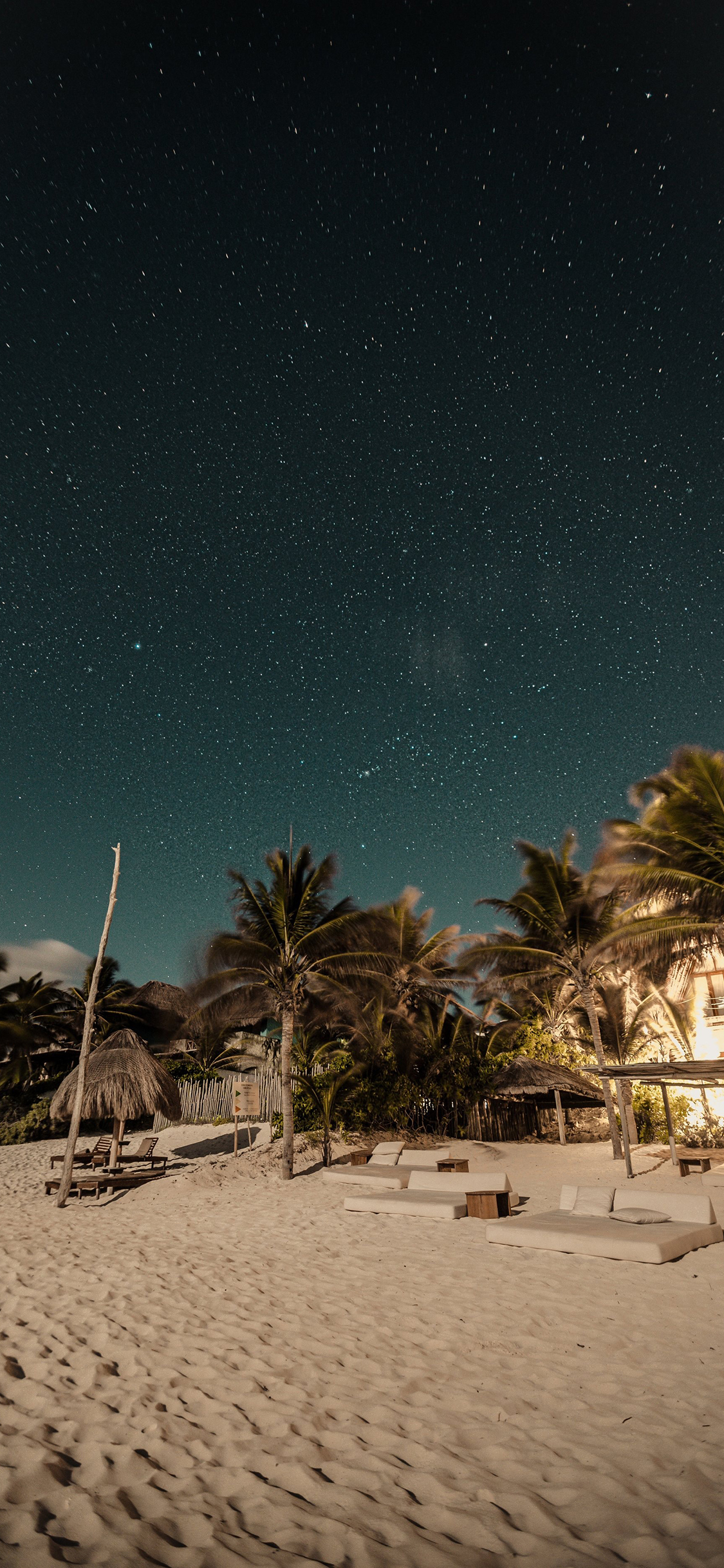 [2436×1125]夜晚 星空 海滩 椰树 苹果手机壁纸图片