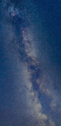 [2436x1125]夜晚 星空 银河 璀璨 苹果手机壁纸图片