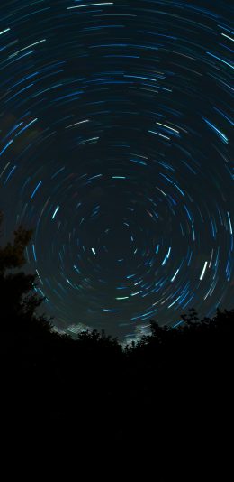[2436x1125]夜晚 树木 天空 光圈 苹果手机壁纸图片