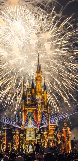 [2436x1125]夜晚 烟花 璀璨 城堡 苹果手机壁纸图片