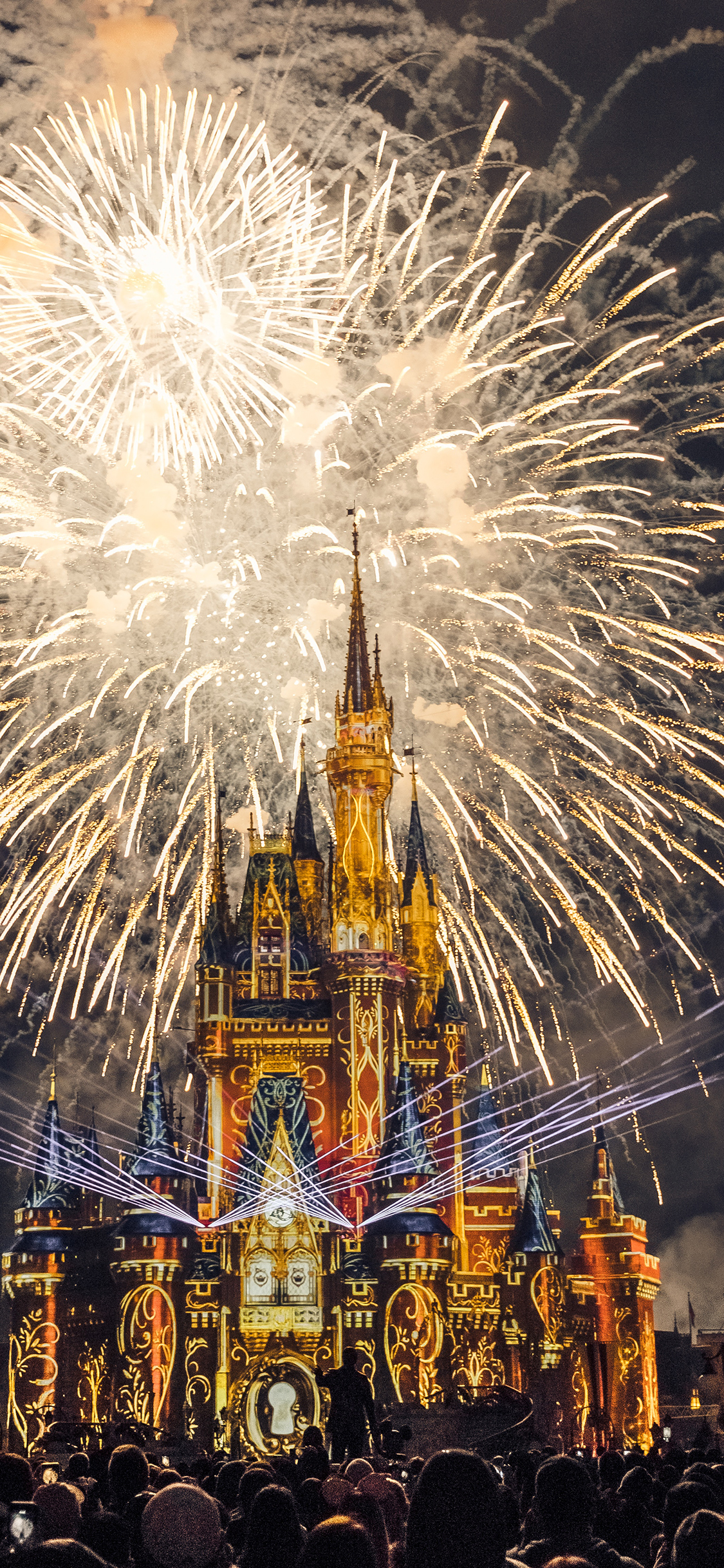 [2436×1125]夜晚 烟花 璀璨 城堡 苹果手机壁纸图片
