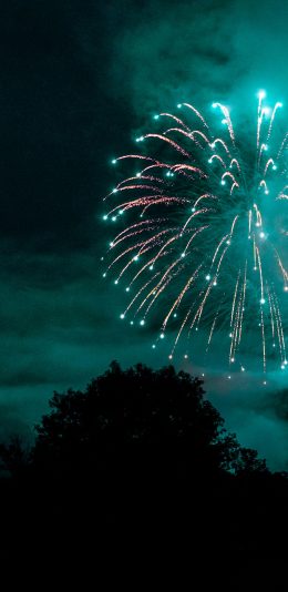 [2436x1125]夜晚 璀璨 烟花 光亮 苹果手机壁纸图片