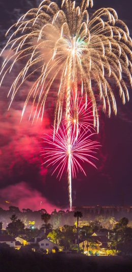 [2436x1125]夜晚 璀璨 烟花 绽放 苹果手机壁纸图片