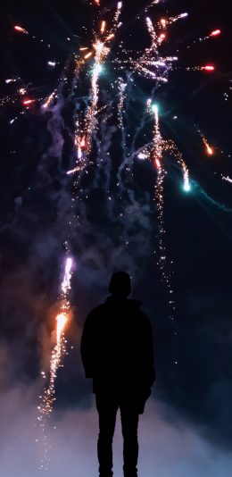 [2436x1125]夜晚 璀璨 背影 烟花 苹果手机壁纸图片