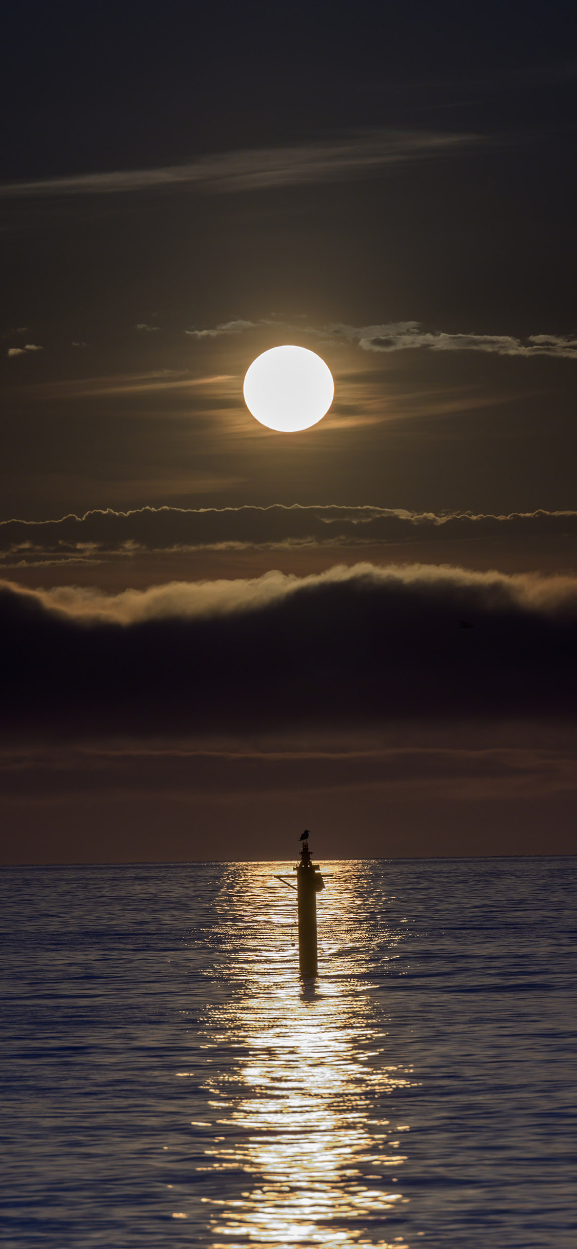 [2436×1125]夜景 圆月 大海 波光粼粼 苹果手机壁纸图片