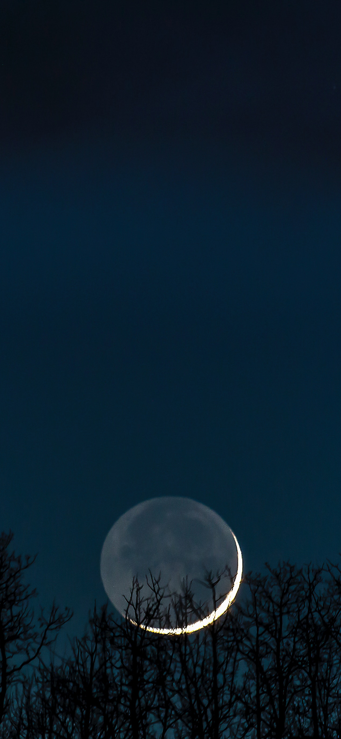 [2436×1125]夜景 天空 月亮 树木 苹果手机壁纸图片