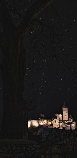 [2436x1125]夜景 星空 树木 建筑 苹果手机壁纸图片