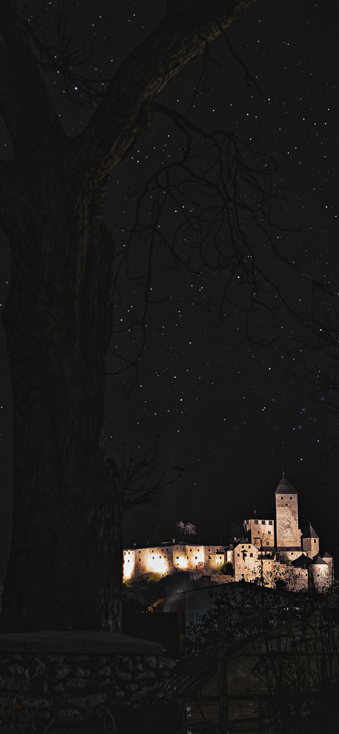 [2436×1125]夜景 星空 树木 建筑 苹果手机壁纸图片