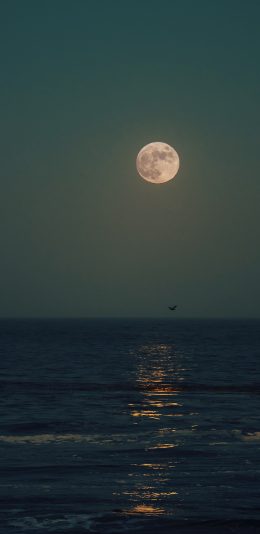 [2436x1125]夜景 月亮 大海 海景 静谧 苹果手机壁纸图片