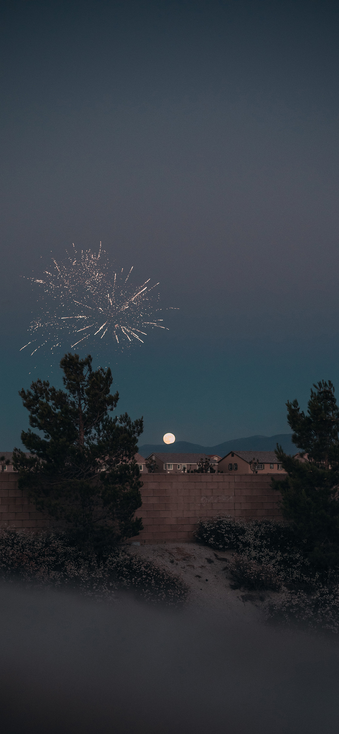 [2436×1125]夜景 树木 烟花 庆祝 苹果手机壁纸图片